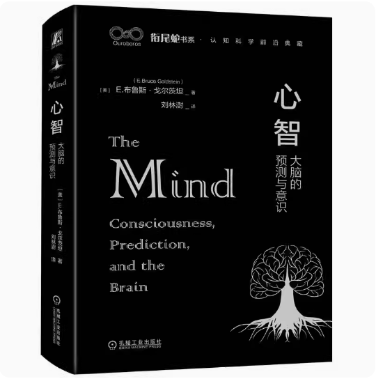 心智：大脑的预测与意识