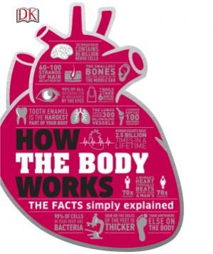 How the Body Works