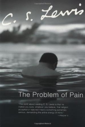 The Problem of Pain